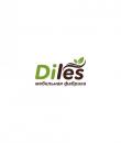 Интернет-магазин «Diles Mebel»
