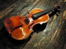 Stradivari64, Заречный