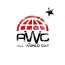 Интернет-магазин «All World Cars»
