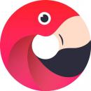 Digital-агенство Flamingo, Шахты
