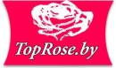 Интернет-магазин «TopRose - Цветы в Минске без переплат!»