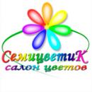 Салон цветов «Семицветик», Балашов