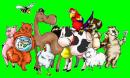 Ветеринарная аптека для сельскохозяйственных и других домашних животных и Зоотовары