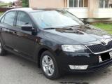 Skoda Прочие 2016