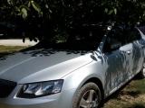 Skoda Octavia 2013