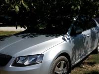 Skoda Octavia Хетчбэк 1.8 2013 с пробегом