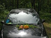 Citroen Berlingo Хетчбэк 1.6 2005 с пробегом