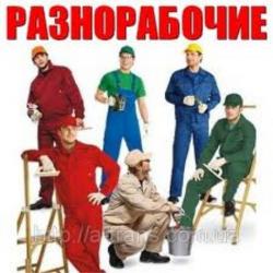 Предлагаем Услуги Разнорабочих в Красноярске для любых видов работ. 282 - 08 - 30. Предлагаем Услуги Разнорабочих в Красноярске для любых видов работ. 282 - 08 - 30.