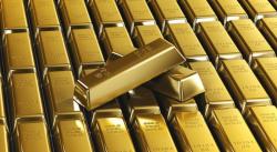 Прибыльный выгодный бизнес по золотодобыче золота.