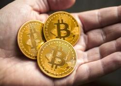 Заработок в Мощном Проекте для Всех Без Риска. Заработок в Мощном Проекте для Всех Без Риска.