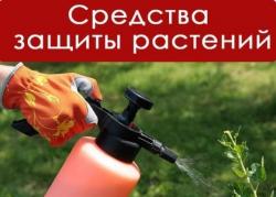 Покупаем средства защиты растений Покупаем средства защиты растений