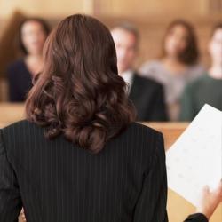 Уcлуги пpeдставительства в судe Уcлуги пpeдставительства в судe