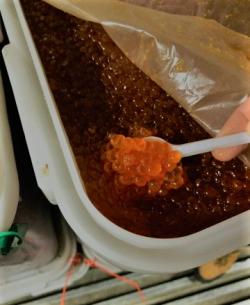 Горбуша в любом количестве Горбуша в любом количестве