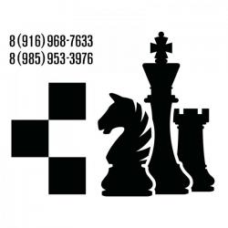 Обучение, уроки игры в шахматы и шашки. Зеленоград - область.