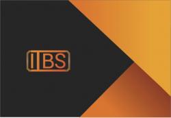 ITBS - Создаём продающие сайты и интернет магазины.