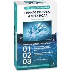 Гинкго Билоба Гинкго Билоба