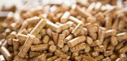 Гранулы пеллеты. Гранулы пеллеты.