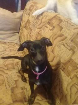 бэтти ищет мампап бэтти ищет мампап