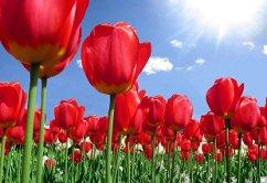 Уборка квартир, не жилых помещений Уборка квартир, не жилых помещений