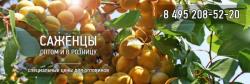 Питомник «Moscow Garden 24» Питомник «Moscow Garden 24»