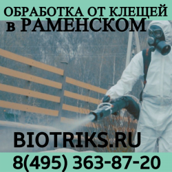 Проффесиональная обработка от клещей в Домодедово