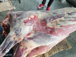 мясо оптом (замарозка) мясо оптом (замарозка)