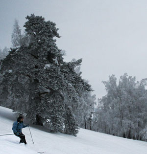 Челябинск, горные лыжи, сноуборд